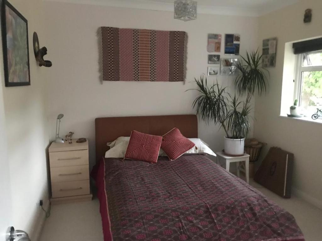 Serene Spacious Room Staines-upon-Thames Ngoại thất bức ảnh
