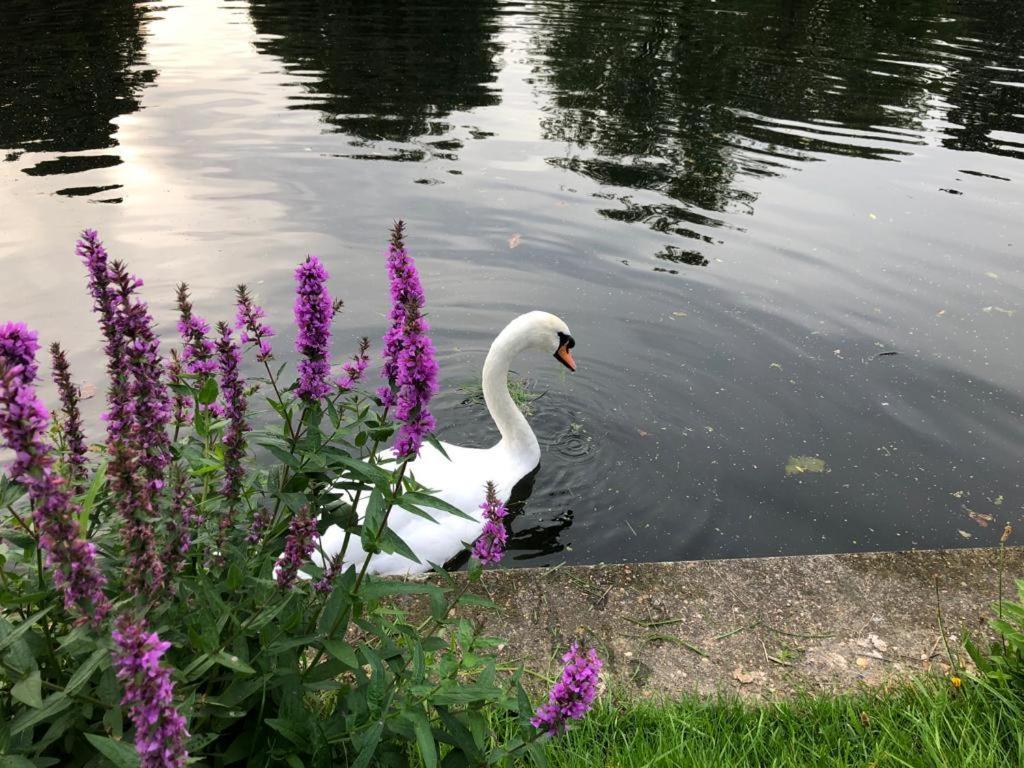 Serene Spacious Room Staines-upon-Thames Ngoại thất bức ảnh